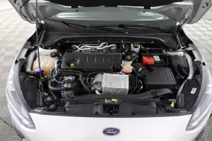 Ford  14