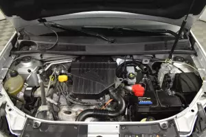 Renault  6