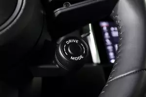 Porsche  5