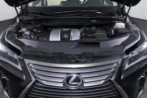 Lexus  7