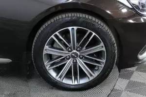 Genesis  7