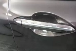 Genesis  7