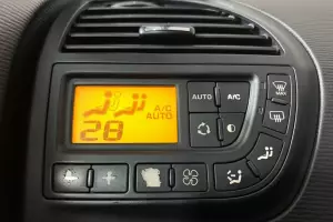 Citroen  13
