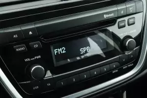 Suzuki  12
