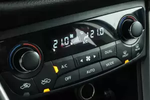 Suzuki  13