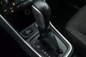 Suzuki  15