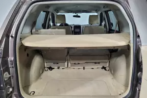 Suzuki  12