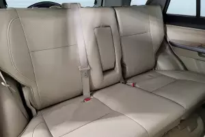 Suzuki  2
