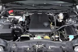 Suzuki  6