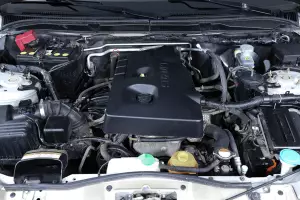Suzuki  5